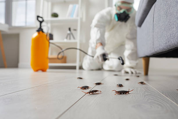 Commercial Rodent Management in Liberty Corner